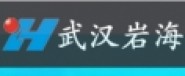 武漢巖海工程技術(shù)有限公司