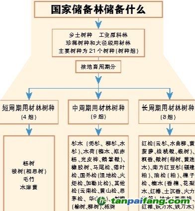 國家儲(chǔ)備林，儲(chǔ)備我們的未來