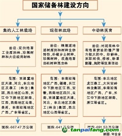 國家儲(chǔ)備林，儲(chǔ)備我們的未來