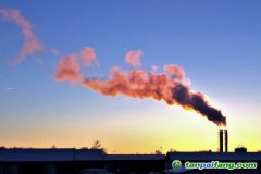 人社部碳交易師和碳排放管理師哪個(gè)好？證書有用嗎？再哪里報(bào)考的官方報(bào)名入口來(lái)了
