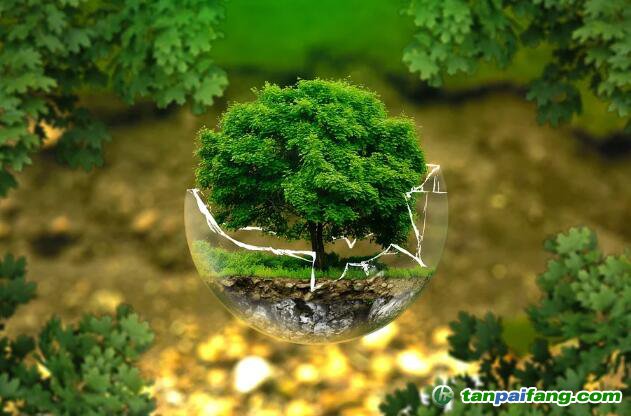 碳排放管理師證書(shū)考出來(lái)可以做哪些什么樣的工作？工資薪水能給多少錢(qián)？