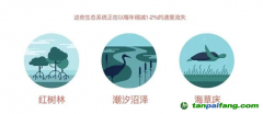 183元/噸！碳匯爆發(fā)，CCER市場價格的風向標？